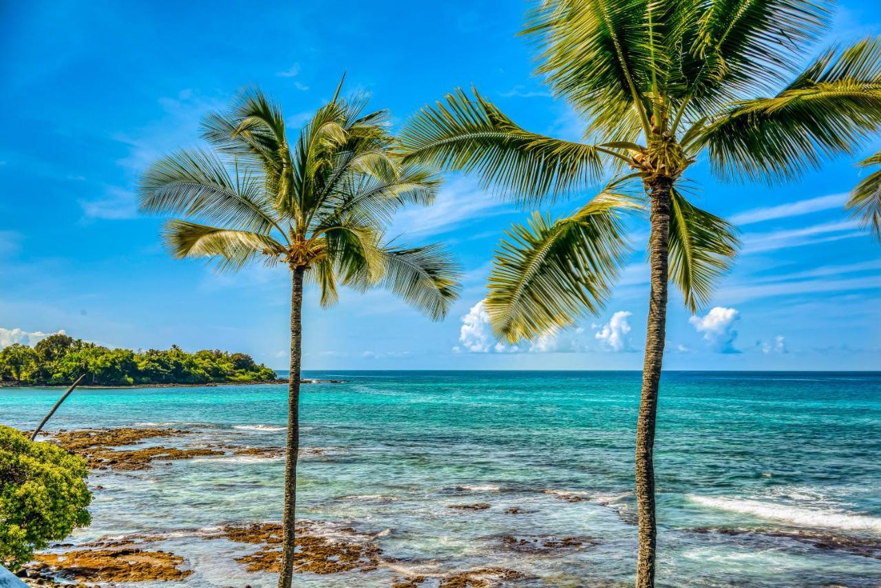 Kona Bali Kai #319 Apartment Kailua-Kona Ngoại thất bức ảnh